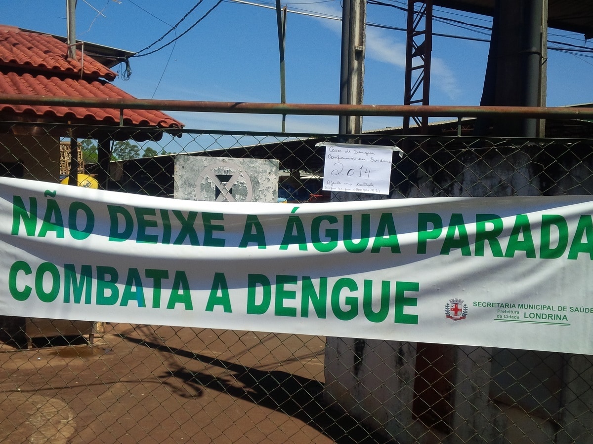 Boletim confirma 530 novos casos de dengue no Paraná