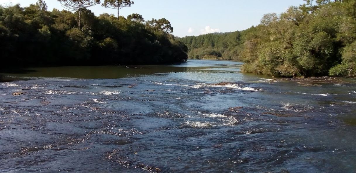 Cinco pessoas da mesma família morrem afogadas em rio no Paraná