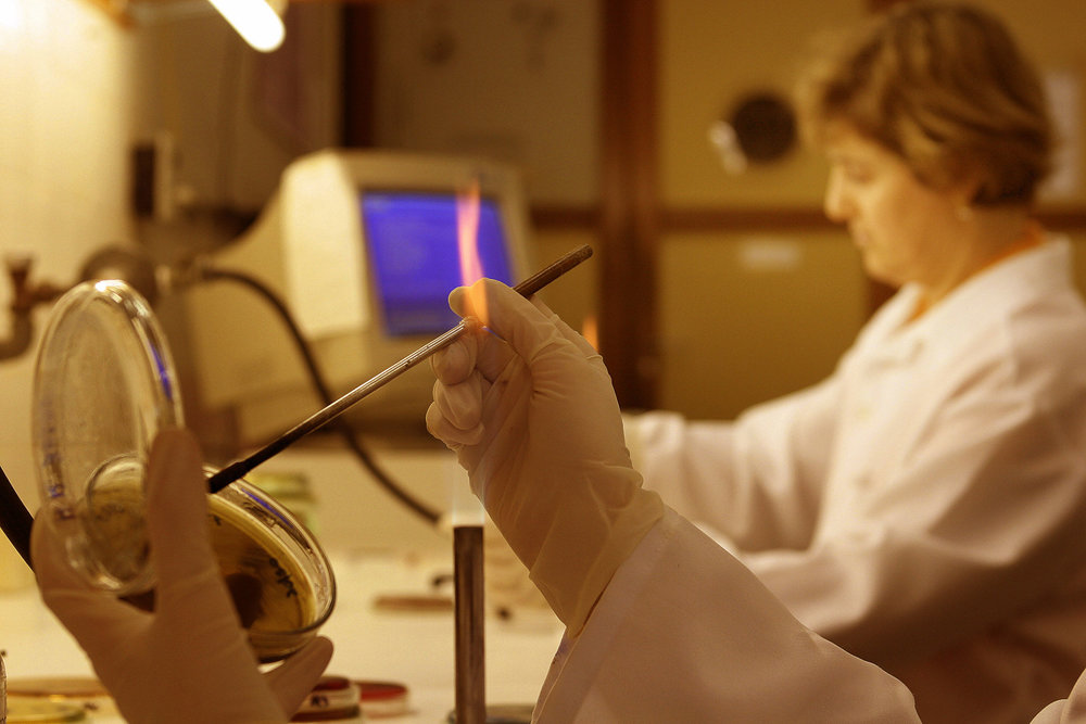 Universidade do PR é a segunda do mundo a ter mais mulheres cientistas