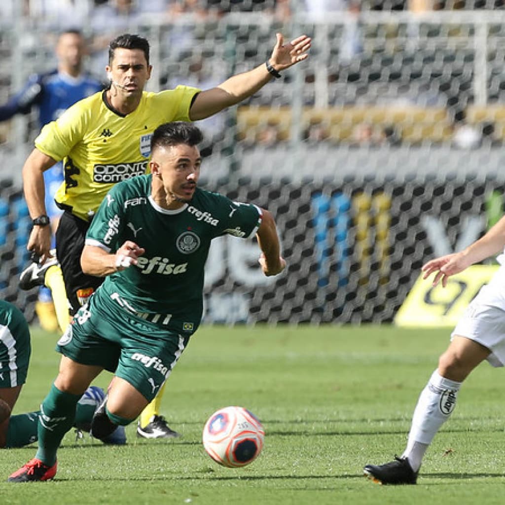 Palmeiras - Santos - Campeonato Paulista - Willian