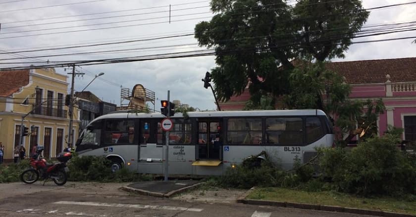 Curitiba - temporal - queda de árvore - ônibus