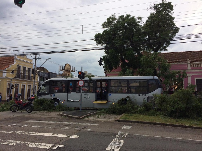 Queda de árvore em ônibus fere cinco pessoas em Curitiba