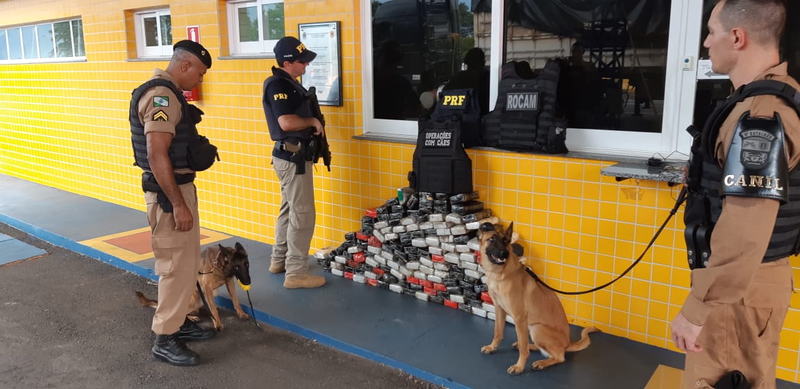  Com ajuda de cães farejadores polícia apreende 158,3 kg de cocaína escondida em estepe