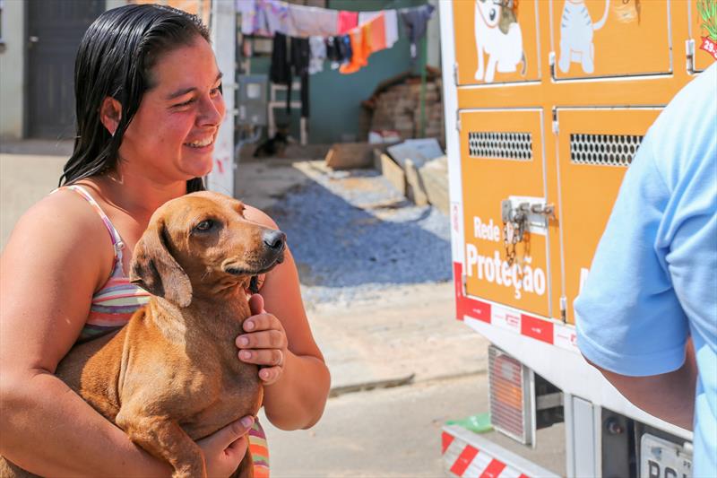 Curitiba abre agendamento para castração gratuita de cães e gatos