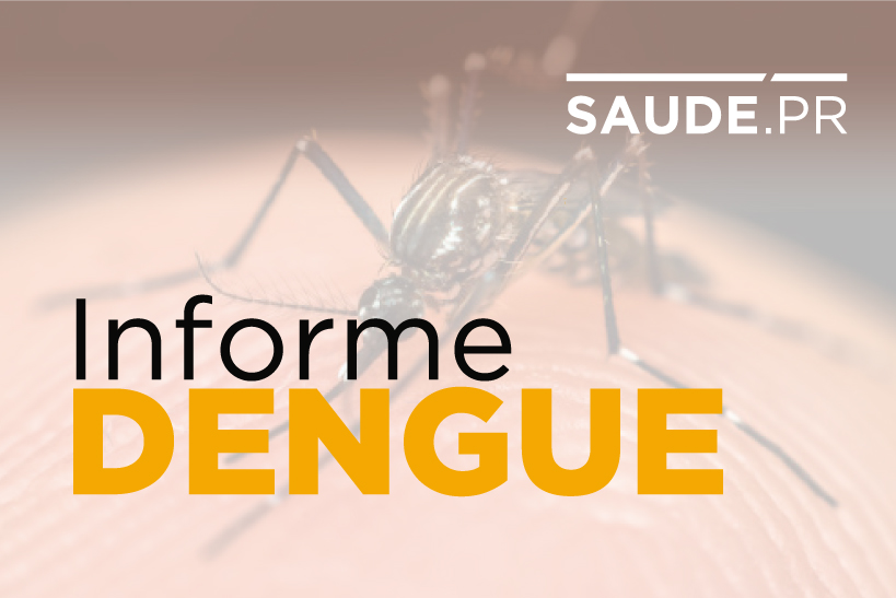 Casos de dengue aumentam 10 mil em uma semana no Paraná