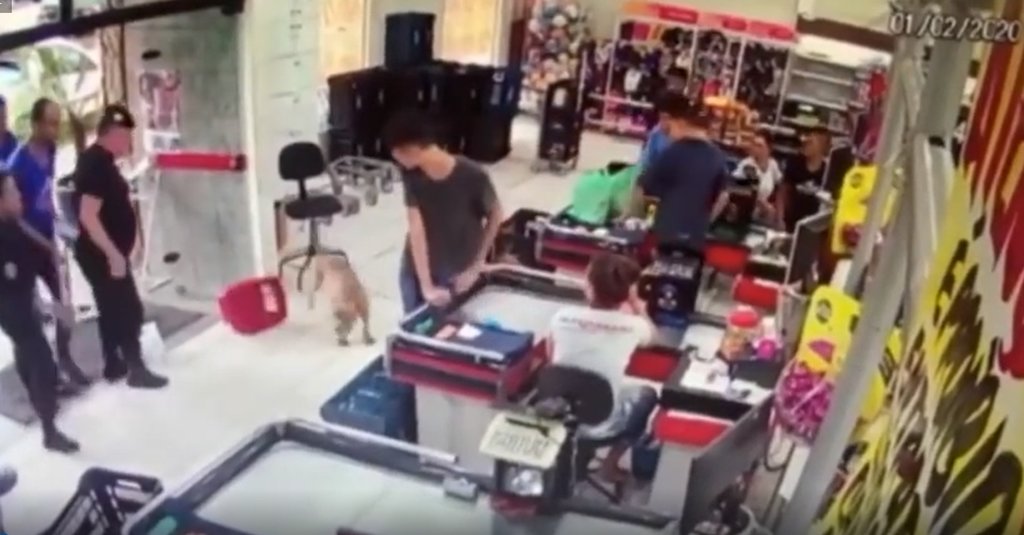 Criança é atacada por pitbull dentro de mercado no Paraná; VÍDEO