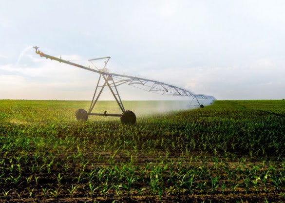 Programa de Irrigação no Paraná começa no Noroeste