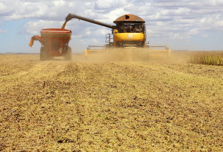 Governo divulga estimativa da safra de inverno e produção de grãos pode bater recorde