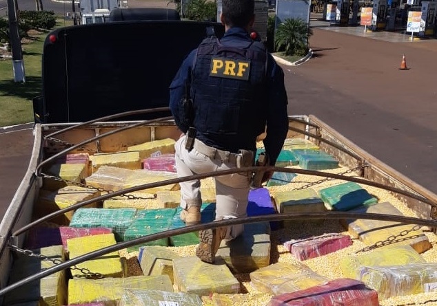 PRF apreende 1 tonelada de maconha escondida em milho no Paraná