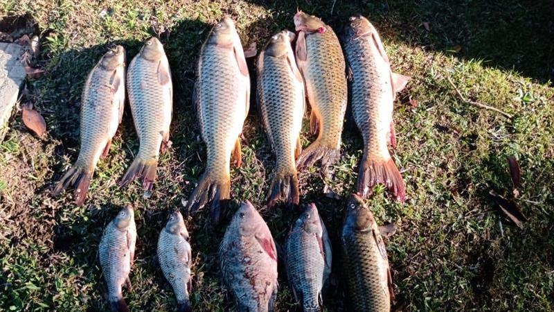Três homens são presos após pescarem ilegalmente no Parque Barigui