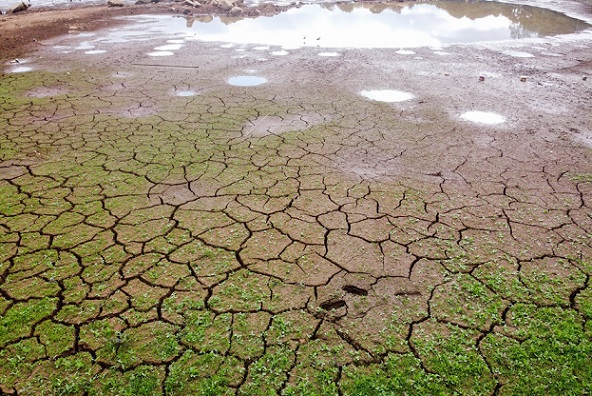 Estiagem deixa o Paraná em situação de emergência hídrica por 180 dias