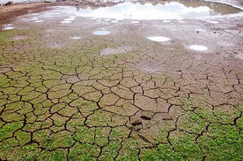 Sem chuva, Paraná decreta situação de emergência hídrica