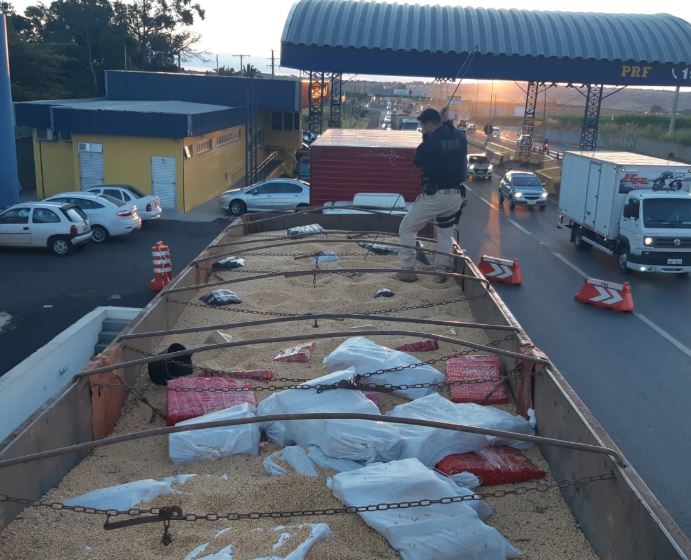Caminhoneiro é preso transportando toneladas de maconha em meio à soja