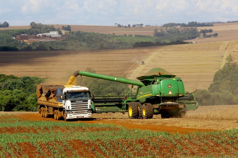 Soja e milho podem ter queda na produção devido a estiagem no Paraná