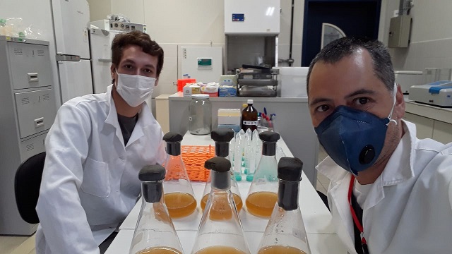 Pesquisadores do Paraná avançam em testes imunológicos e vacina para Covid-19