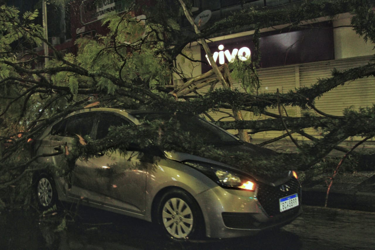 Curitiba registra queda de árvores e falta de luz com temporal devido a ciclone