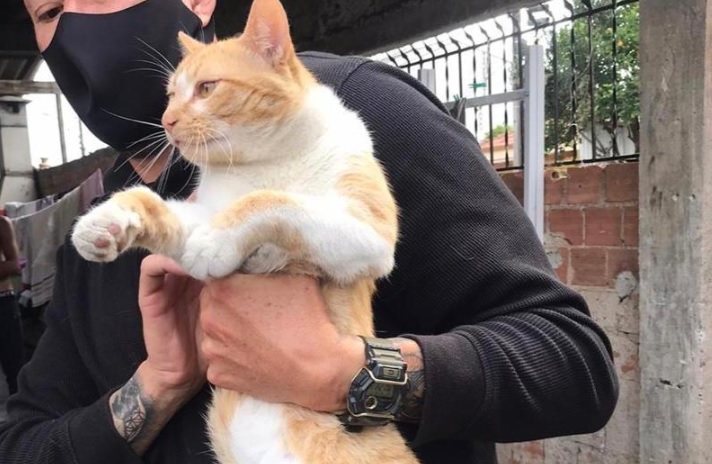 Gato é resgatado pela polícia após ser obrigado pelos donos a fumar maconha