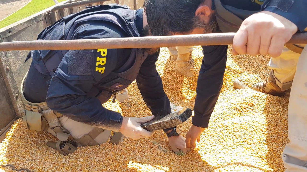 PRF apreende 6 toneladas de maconha em caminhão com milho no Paraná