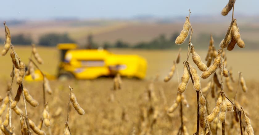 Mudanças no zoneamento de risco do milho segunda safra
