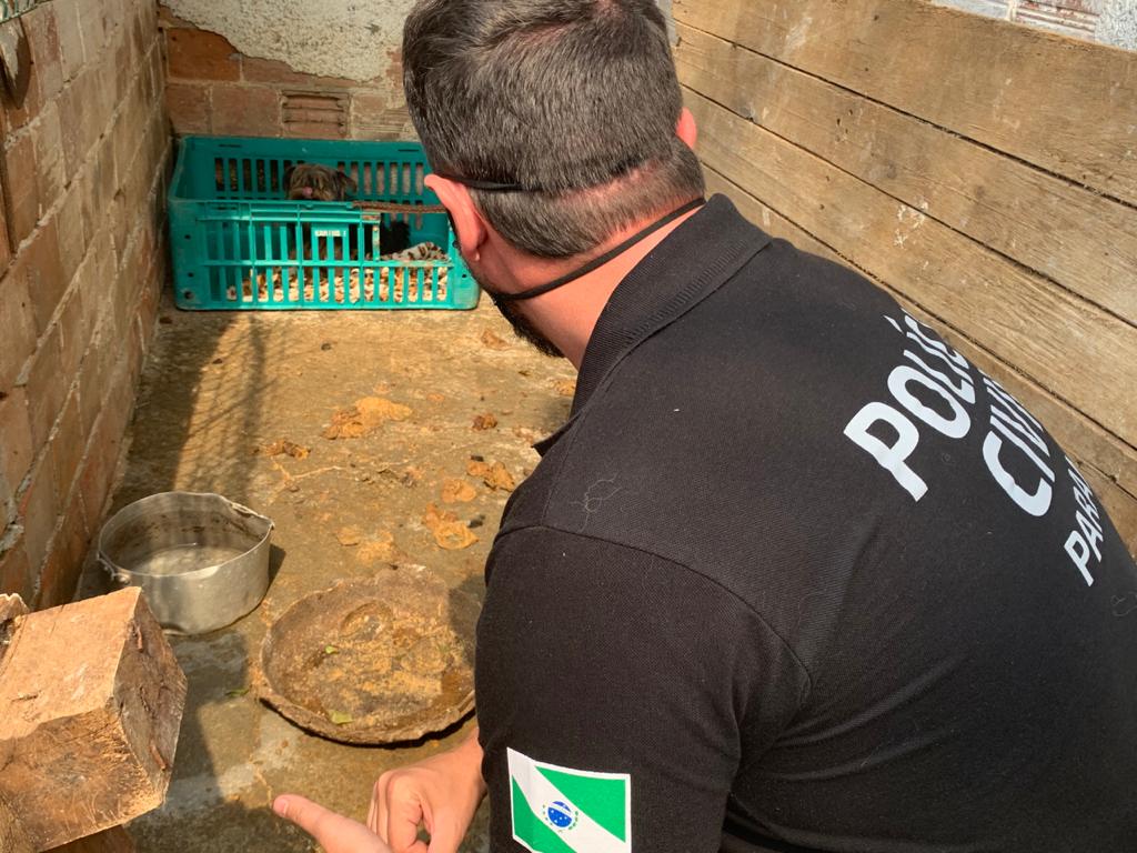 Polícia Civil resgata 197 animais de abrigo clandestino no Paraná