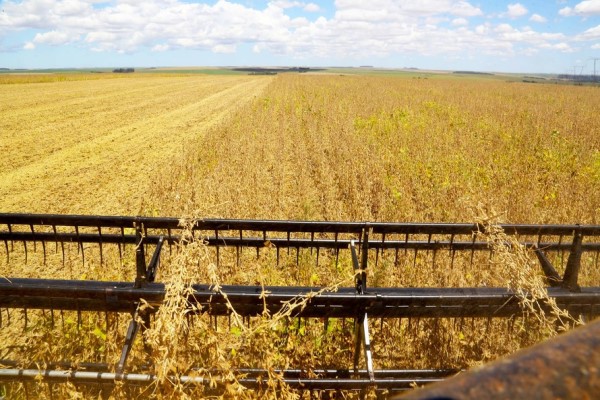 Paraná mantém previsão de 24,3 milhões de toneladas para safra de grãos de verão