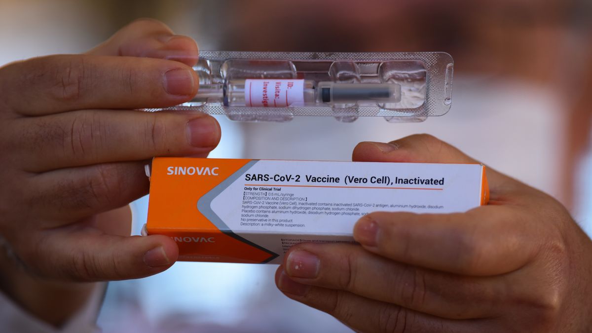 Sinovac quer distribuir vacina na América do Sul junto com Butantan