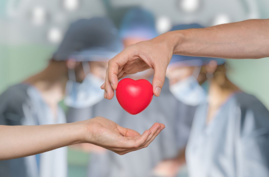 Você é doador de órgãos?