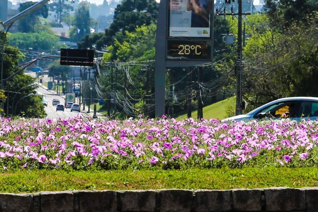 Fim de semana será de veranico e temperaturas beirando os 30º em Curitiba e Região