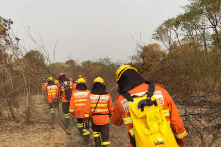 Bombeiros do Paraná completam dez dias de trabalho no Pantanal