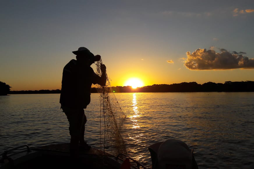 Resolução determina proteção de peixes nativos de bacias hidrográficas do Paraná