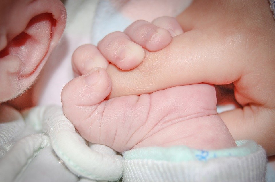 Casal do Paraná ganha direito de registrar filho após inseminação artificial caseira
