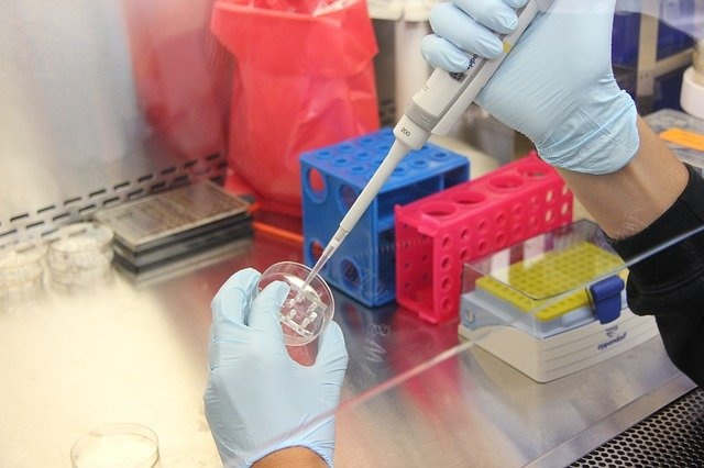 Laboratório da UEL vai fazer testes de DNA gratuitos