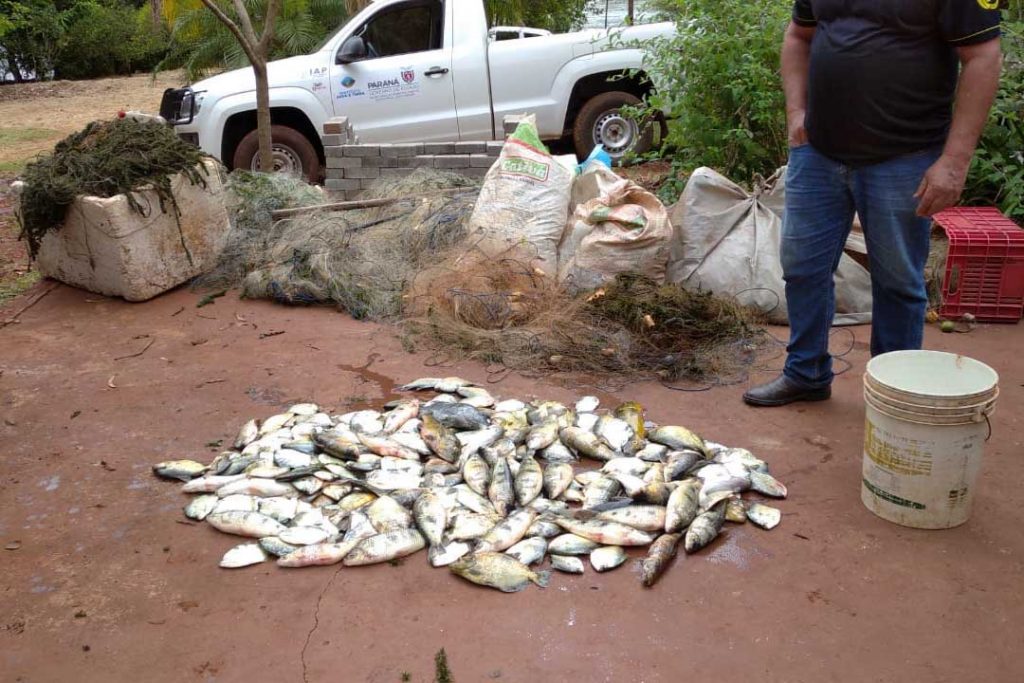 Piracema: materiais ilegais de pesca são apreendidos no Paraná