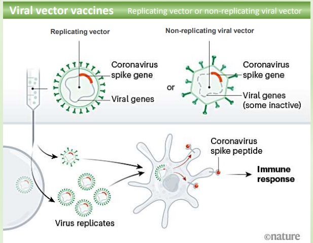 vacina, vacinas, imunização, coronavírus, covid-19, pandemia, farmácia, farmacêutico, medicina, técnica, tecnologia, vetor viral
