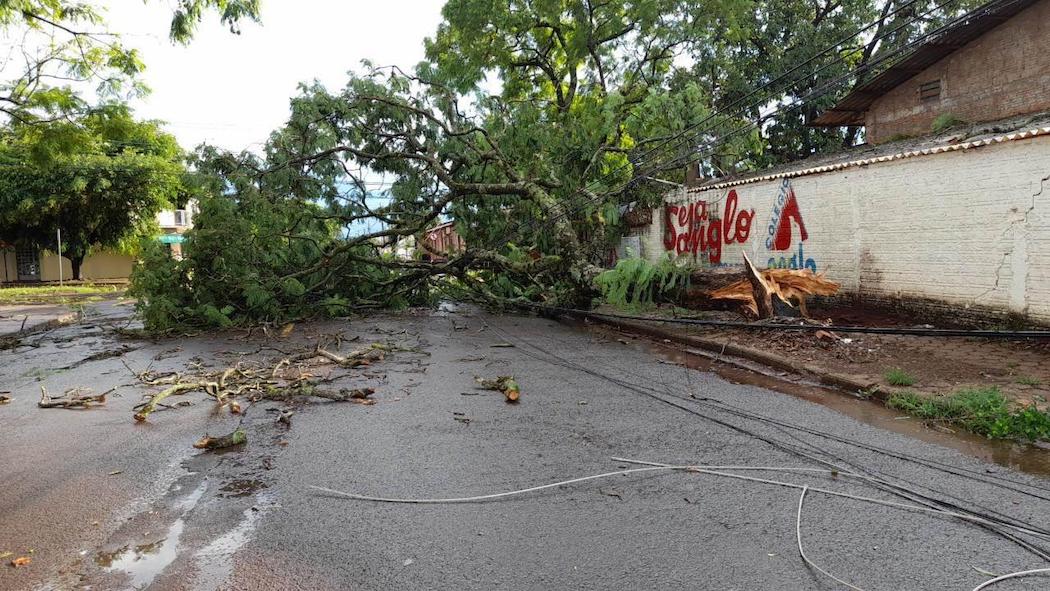 Temporal deixa estragos em Cascavel e outras cidades no estado; tempo segue instável ao longo da semana