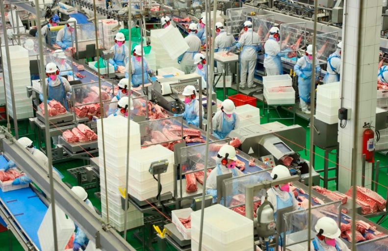 Produção de carne bate recordes no Paraná em 2020