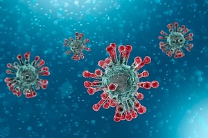 Recuperar-se de Covid-19 pode dar imunidade a 83%, mas não evita transmissão, indica estudo