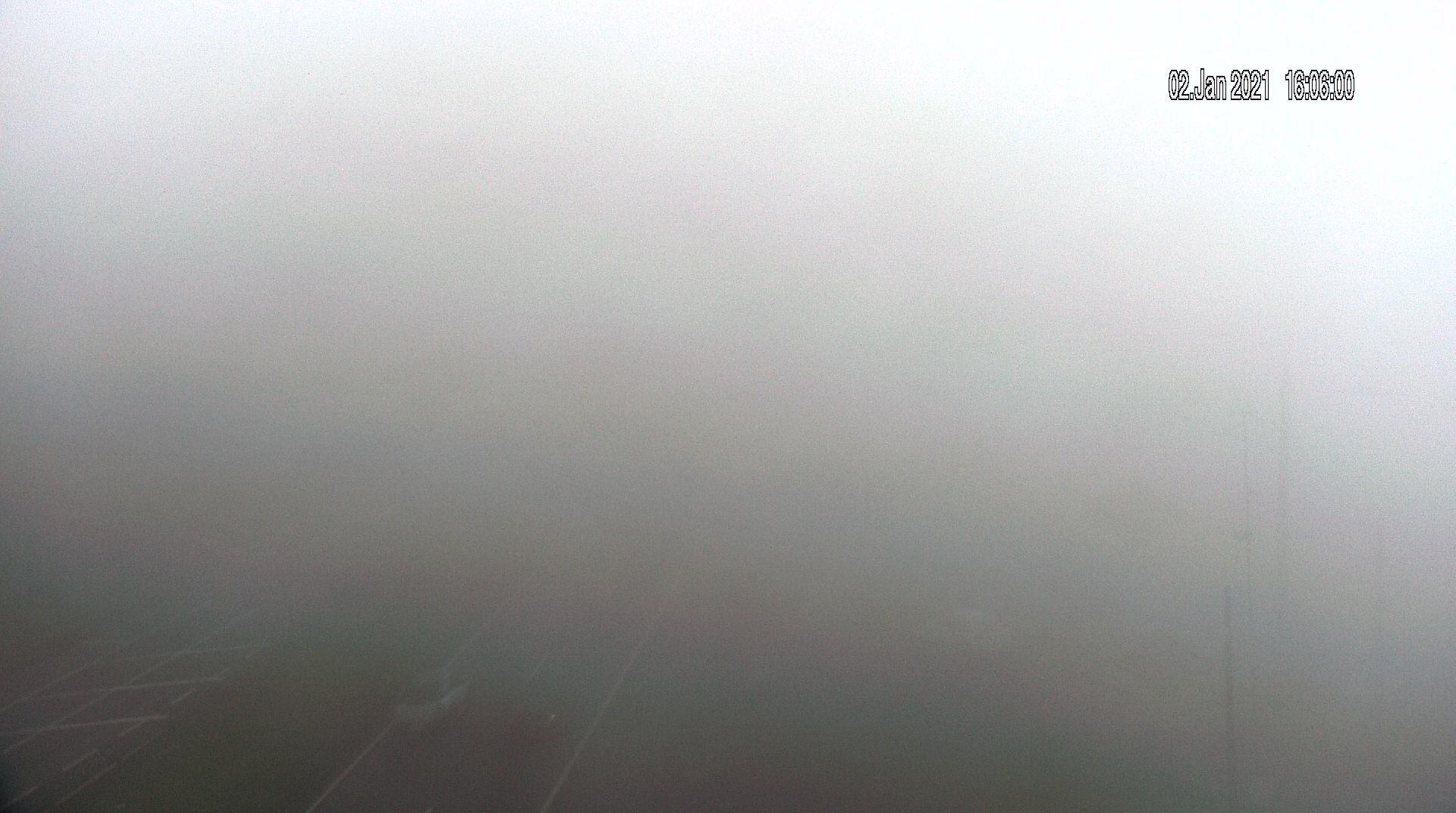 Movimento na BR-277: Neblina na Serra do Mar exige atenção dos motoristas