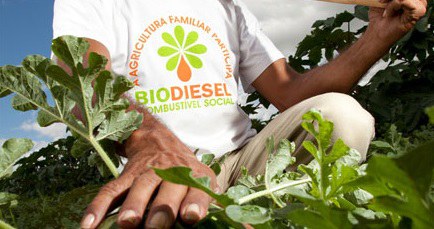 Selo Biocombustível Social gera renda para agricultores familiares