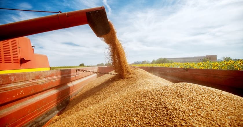 levantamento da safra de grãos 2020-21, levantamento, safra, grãos, conab, mapa, ministério da agricultura, produção