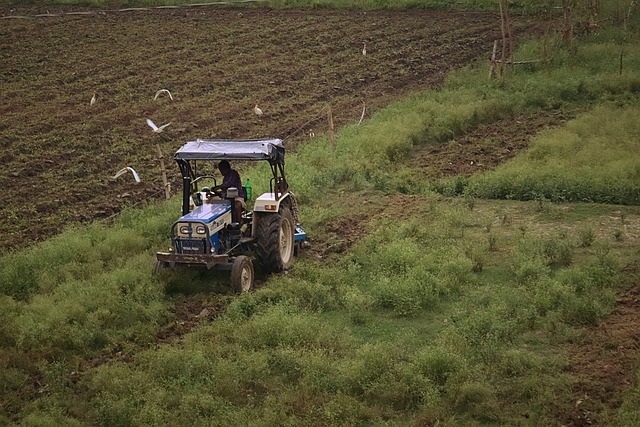 Garantia-Safra autoriza pagamento para mais de 13 mil agricultores familiares
