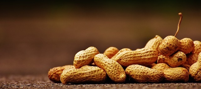 Mapa publica novos procedimentos para exportação de amendoim