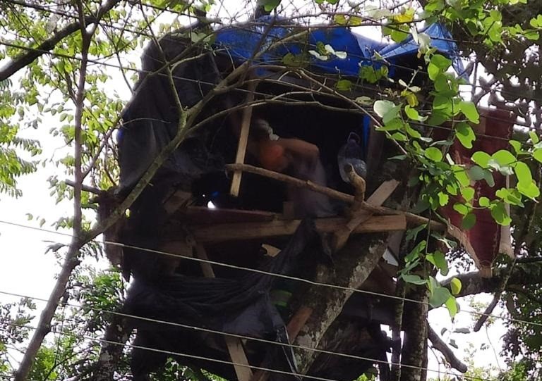 Homem constrói casa na árvore em avenida de Curitiba, mas é retirado pela prefeitura