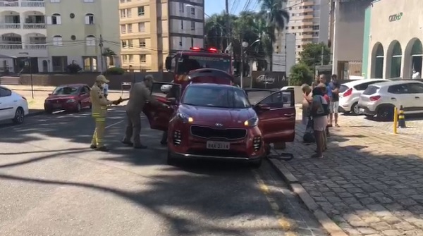 Susto! Casal viaja de Matinhos para Curitiba com cobra escondida dentro do carro