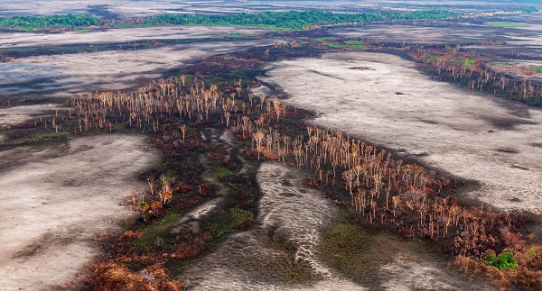 Terras indígenas concentram apenas 3% do desmatamento na Amazônia, aponta estudo