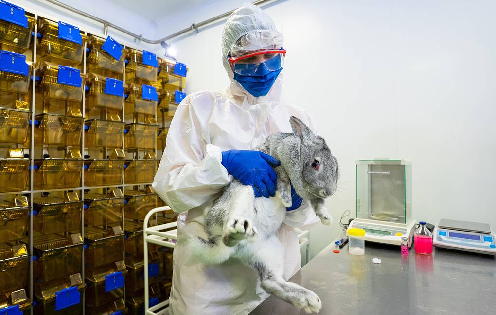 Rússia já recebe encomendas de vacina contra covid para animais