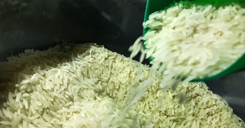 arroz para cesta básica projeto
