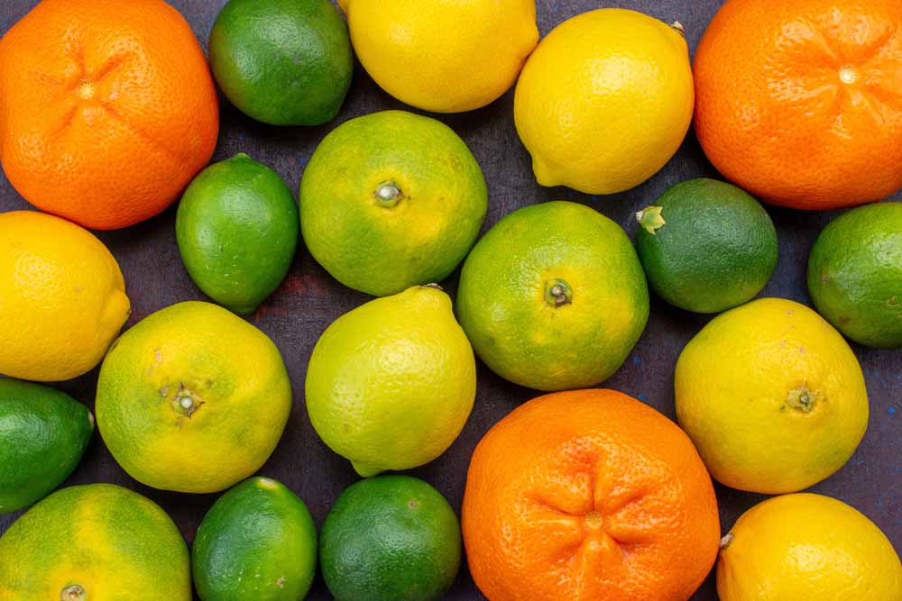 Novo zoneamento traz novidades sobre risco climático para a cultura de citros