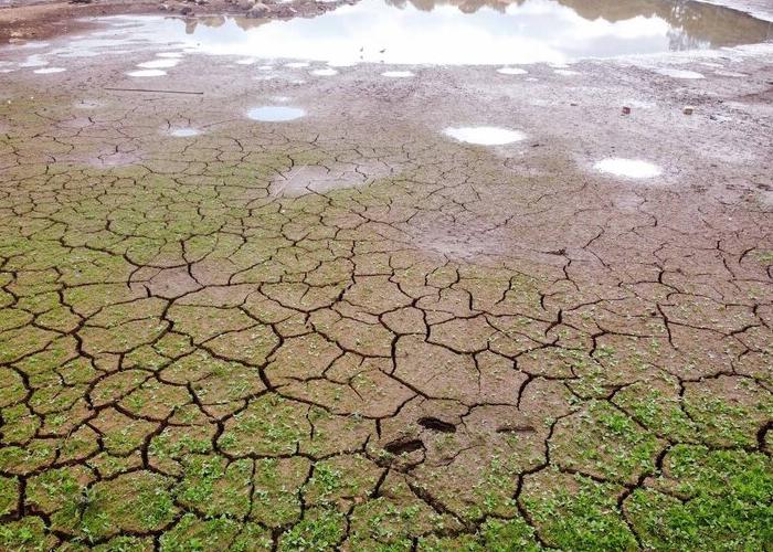 Crise hídrica: governo decreta situação de emergência na Grande Curitiba e no sudoeste