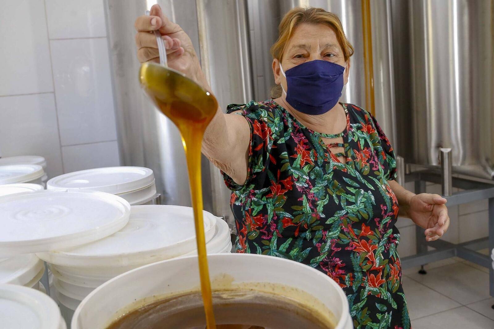 Produção de mel
Ortigueira - Pr
Gilson Abreu/AEN